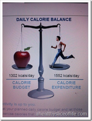 bodygem calorie balance