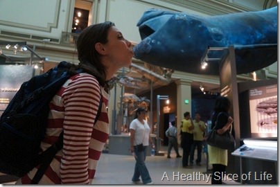 Washington DC- National History Museum whale