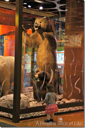 discovery place charlotte- bears
