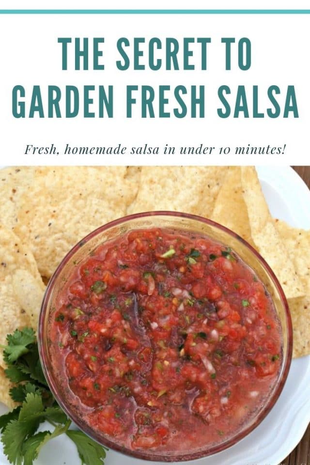 garden fresh salsa