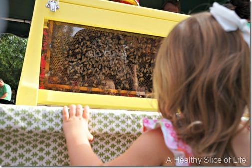 h turns 2- davidson farmers market bee hives