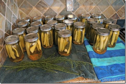 canning pickles- final product