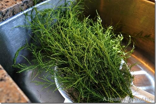 canning pickles- wild dill