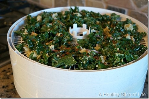 cool ranch kale chips dehydrating