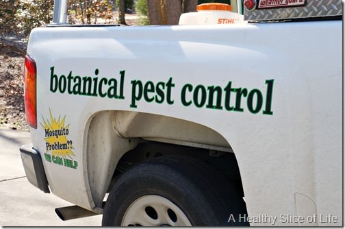 noosa pest management- natural botanical service- 2