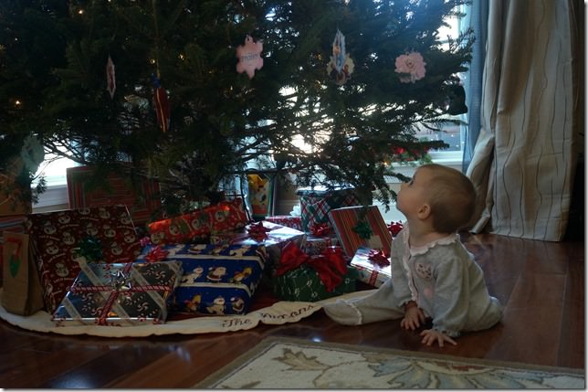 7-months-old-christmas-tree