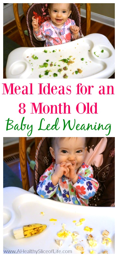 meals for an 8 month old- baby led weaning