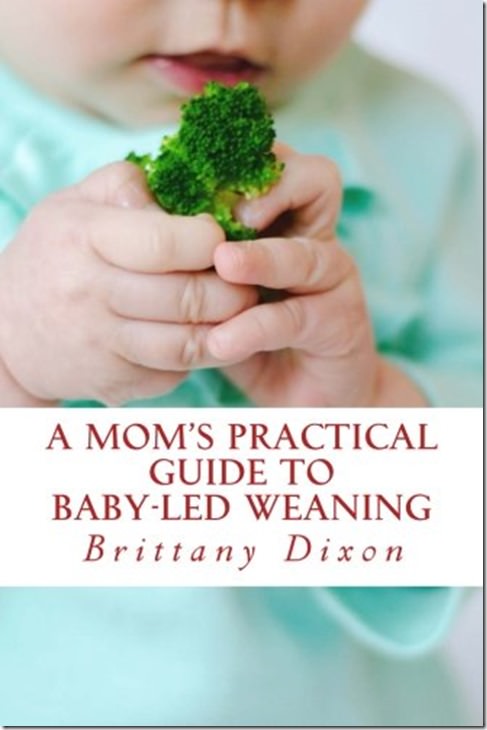 practical guide to baby led weaning