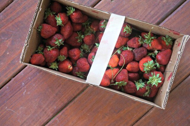 bread machine strawberry jam- strawberries