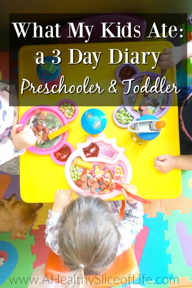 what my kids ate 3 day diary