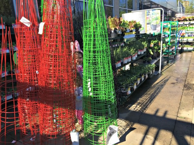 garden shopping at lowes