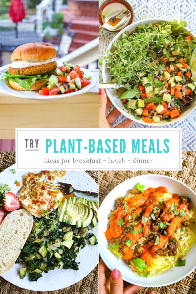 plant-based meal ideas for breakfast, lunch, and dinner