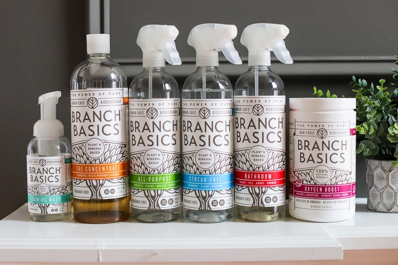 Branch Basics Cleaner Review - A Healthy Slice of Life