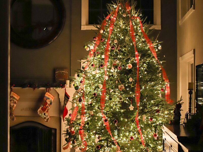 13' christmas tree lights